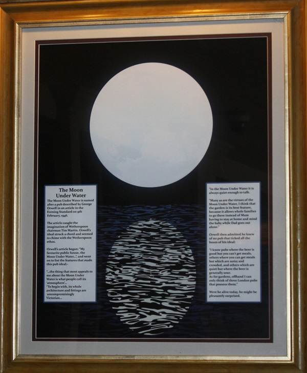 the moon under water essay